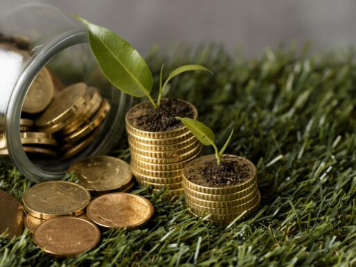 Yeşil ekonomi büyüme ve yeni yatırım fırsatları sunuyor