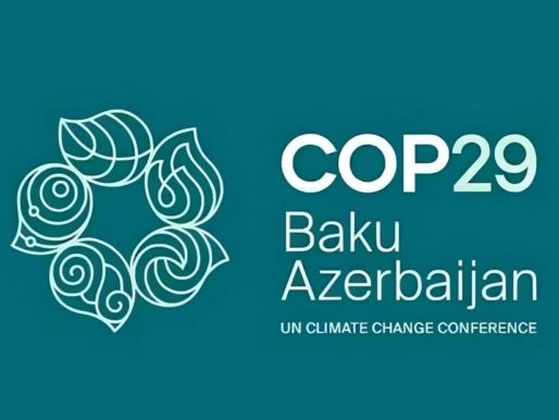 COP29 zirvesinde uyum eylemleri ve iklim finansmanı gündemde olacak