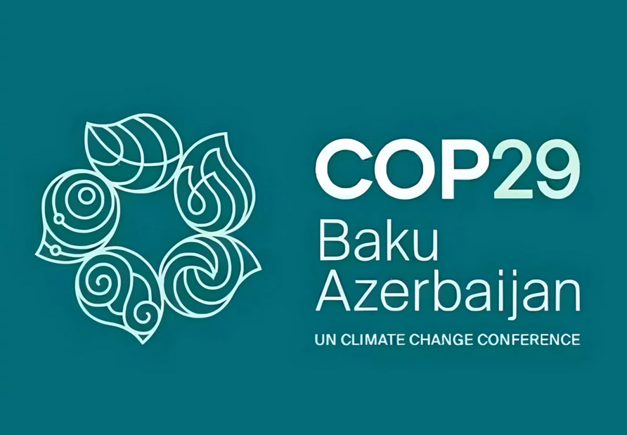 COP29 zirvesinde uyum eylemleri ve iklim finansmanı gündemde olacak