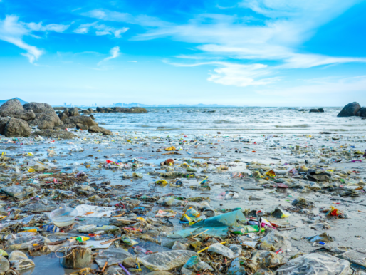 Gelişmiş teknolojiler plastik kirliliğini yenmemize yardımcı olabilir